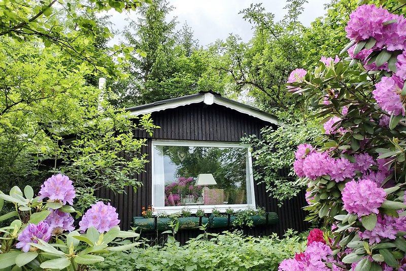 Märchenhütte zur Rhododendronblüte