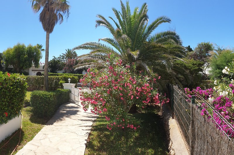 Tropischer Garten mit Palmen, Blumen und exotischer Landschaft.