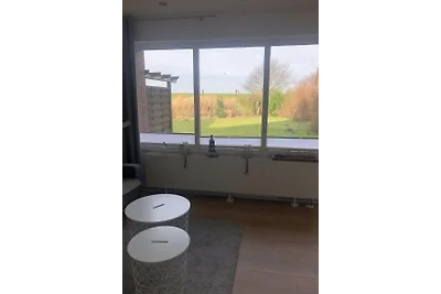 Deichblick