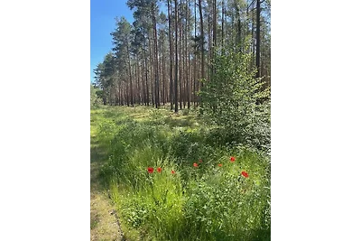 Natura pura Natura pura