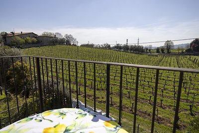 Franciacorta Nuvolinis Bike