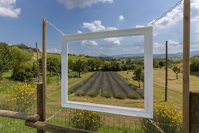 Metina Montepulciano casa