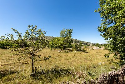 Ferienhaus für 8 Personen mit Pool in naturschönen Umgebungen auf dem Col de Vence