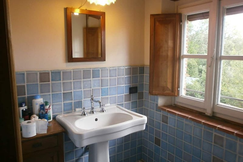 2ND BLUE BATHROOM WITH SAUNA-SHOWER