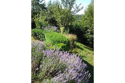 La colline aux oiseaux