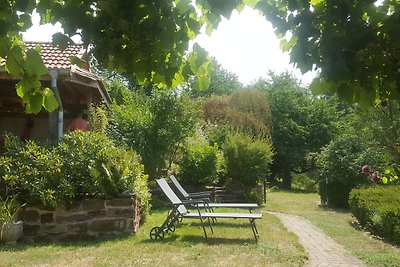 La colline aux oiseaux