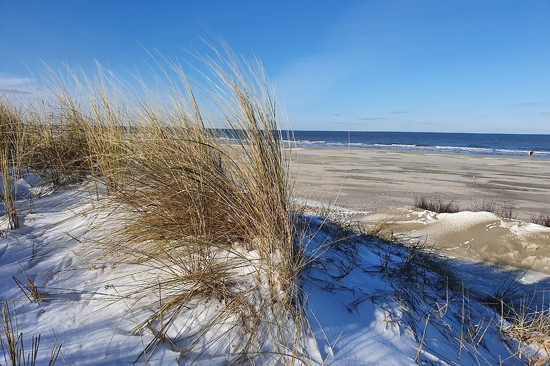 Winterliche Dünen am Strand