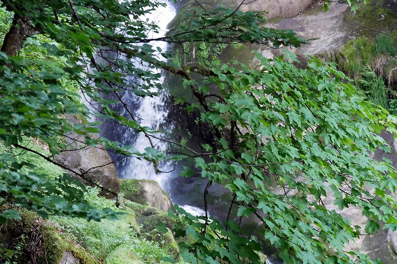 Naturlandschaft mit Wasserfall, Fluss und Wald.