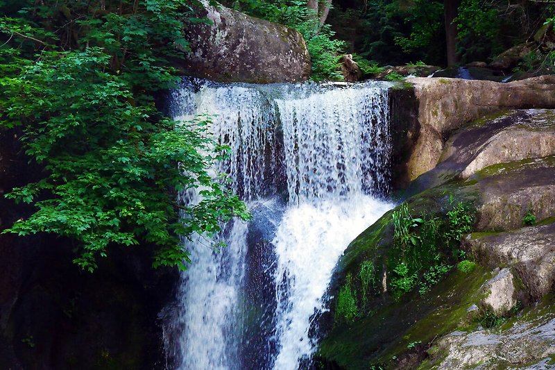 Triberger Wasserfälle Ansehen lohnt sich