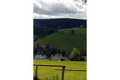 Ferienwohnung Schwarzwald  Schonach