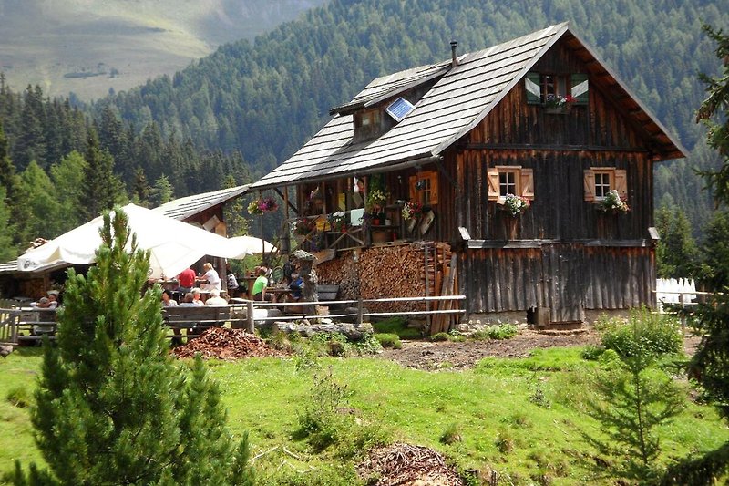 Berglandschaft mit Holzhaus, Fenstern und Gras. Natürliche Schönheit.
