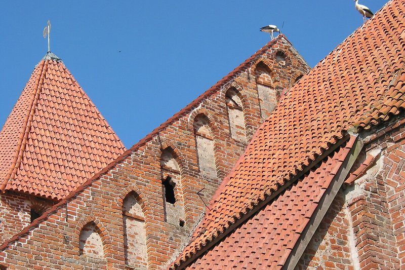 Auf der trutzigen Backsteinkirche von Groß Mohrdorf brüten Störche