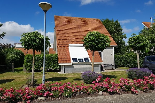 Ferienhaus Scharendijke