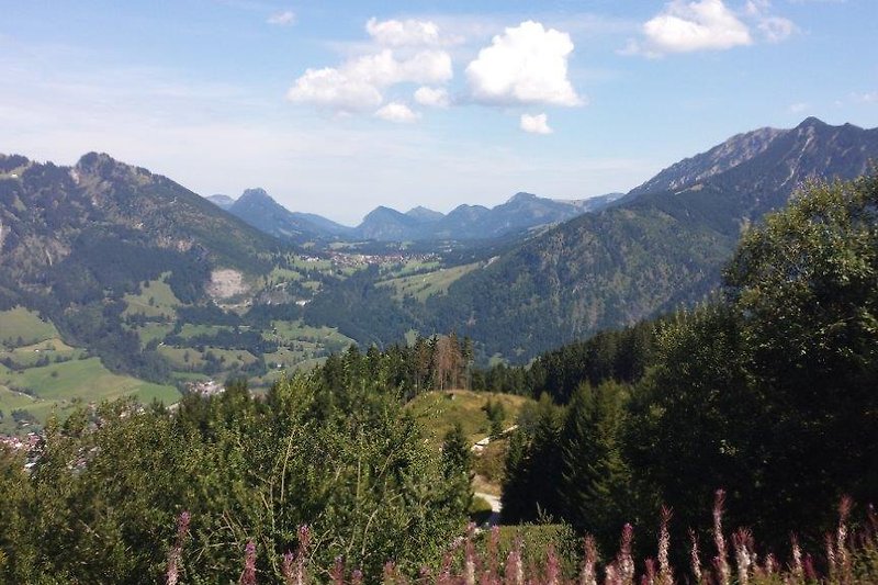 Blick auf Berglandschaft mit grünen Wiesen und Tannen.