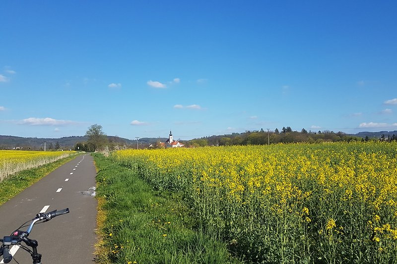 Ländliche Idylle, Blumen und grüner Landschaft.