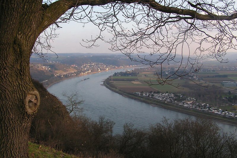 Am Rheinsteig in Erpel mit Sicht auf Linz und Ockenfels