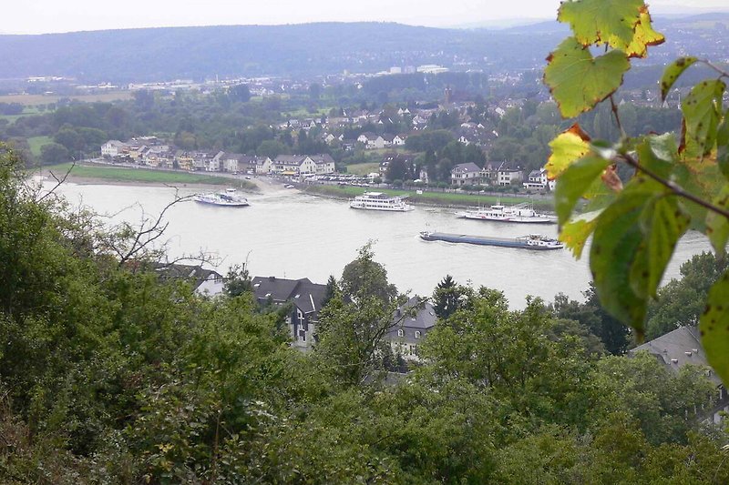 Am Rheinsteig in Ockenfels mit Sicht auf der Linzer Fähre und Ahrtal