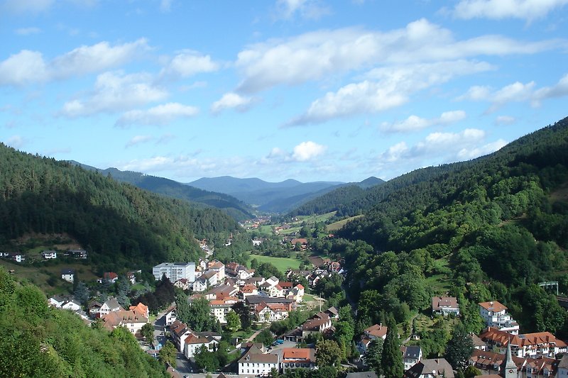 Blick ins Gutachtal von Schloss Hornberg