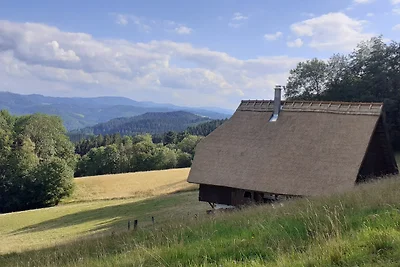 Rautsch