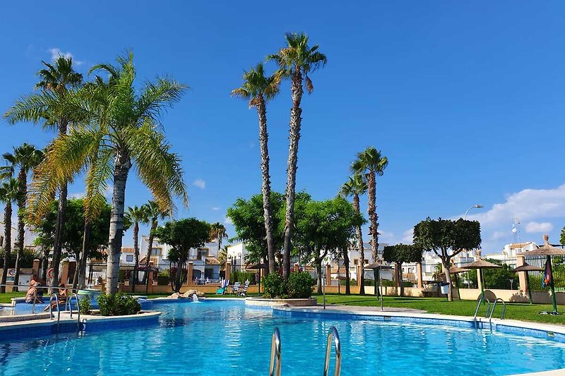 Luxuriöses Resort mit Pool, Palmen und Meerblick.