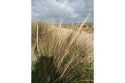 Zeebos 23