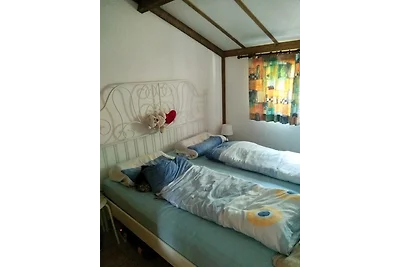 Zeebos 23