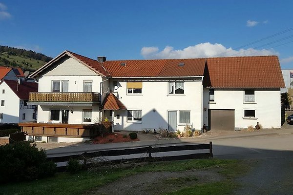 Vakantieappartement Willingen