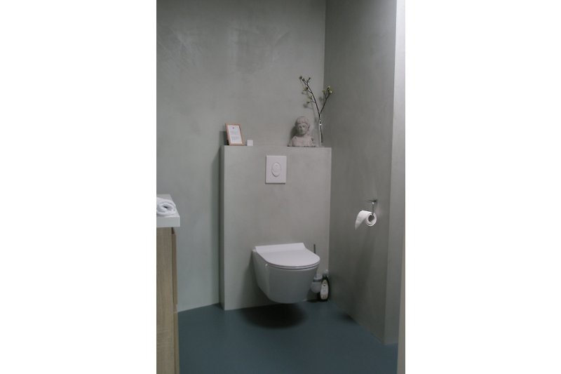 Modernes Badezimmer mit Toilette mit nebenan Duschraum.