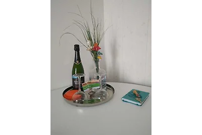 VlinderaanZee