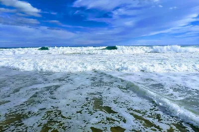 VlinderaanZee