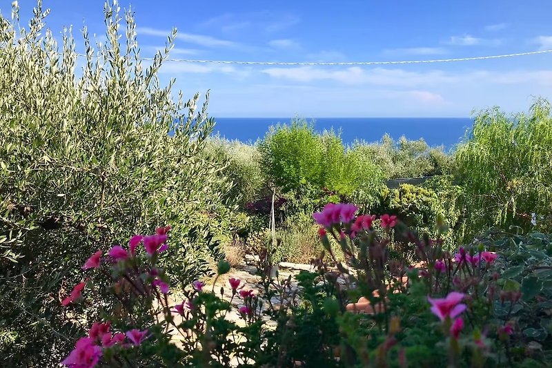 Blick von der Terrasse in den Garten und das Meer
