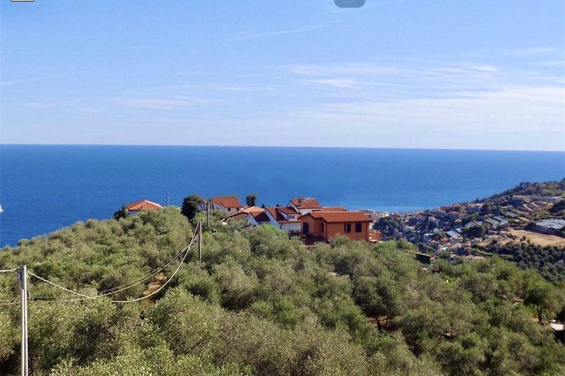 Blick auf das Haus am Meer mitten im Olivenhain und Hügeln.
