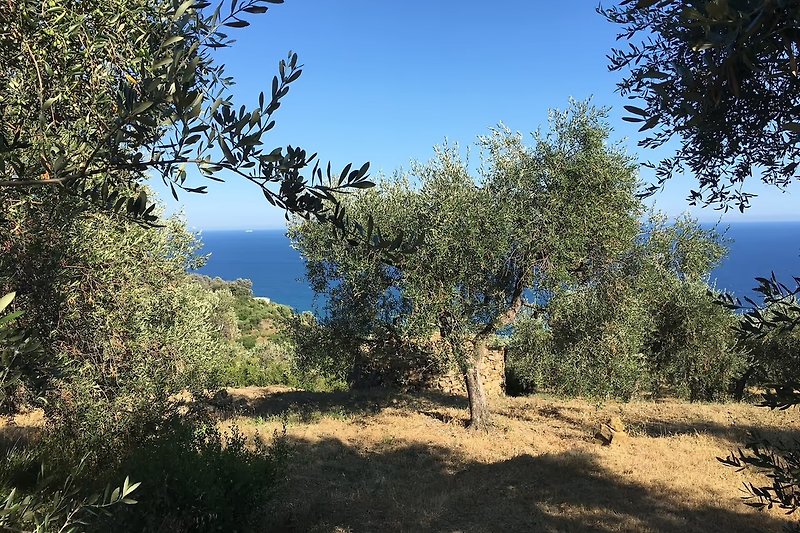 Oase der Ruhe mitten in den Oliven