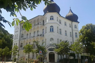 Seemuschel in der Villa Metropol