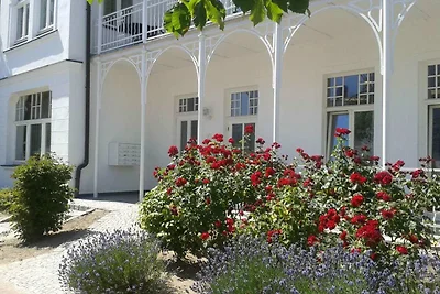 Seemuschel in der Villa Metropol