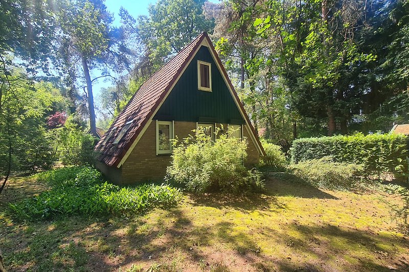 Ländliches Cottage umgeben von Wald, Wiese und Pflanzen.