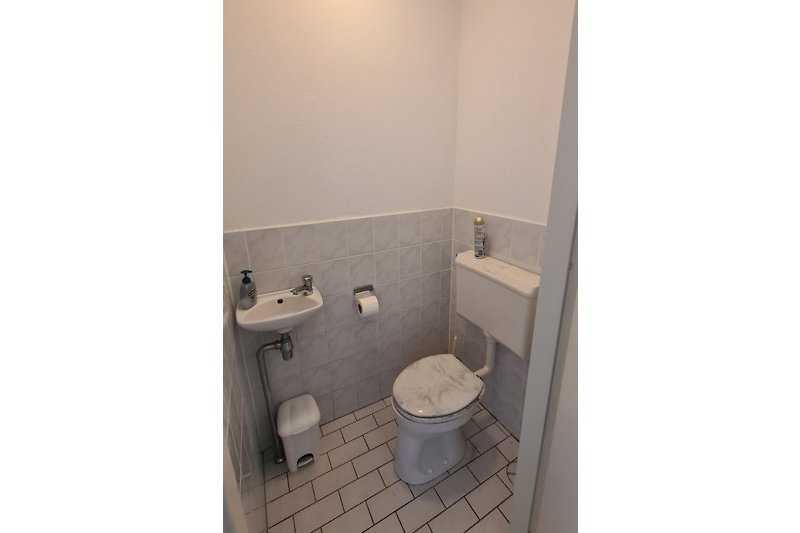 Badezimmer mit Waschbecken, Wasserhahn und Toilette.