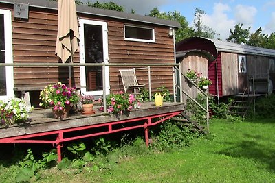 TinyHouse bei den ZahrenPferden