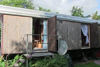 TinyHouse bei den ZahrenPferden