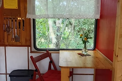 TinyHouse bei den ZahrenPferden