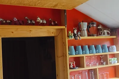 TinyHouse bei den ZahrenPferden