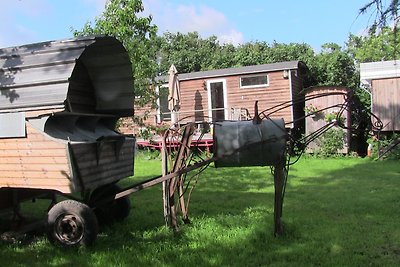 TinyHouse bei den ZahrenPferden