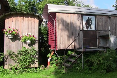 TinyHouse bei den ZahrenPferden