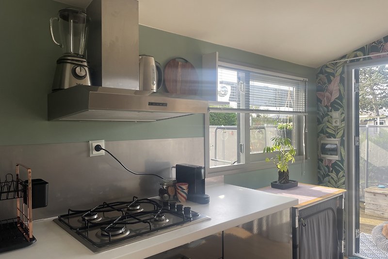Moderne Küche mit Gasofen, Kochinsel, Fenster und Pflanze.
