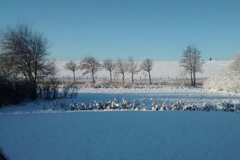 Der Winter in Friedrichskoog bietet so manchen Blickfang, allerdings ohne Schafe.