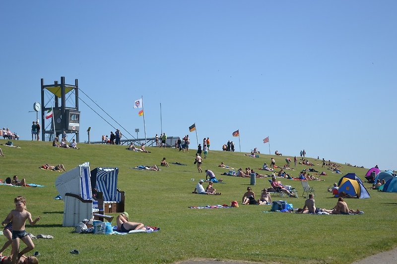 Der grüne Strand mit der DLRG-Wache.