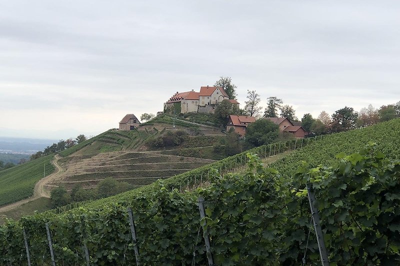 Schloss Staufenburg in Durbach