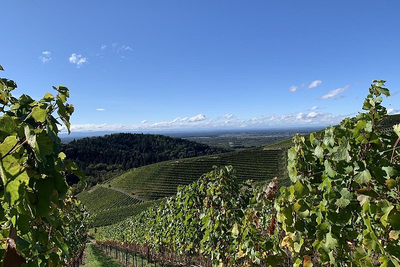 Der Himmel über der Ortenau - Wein- und Genussparadies