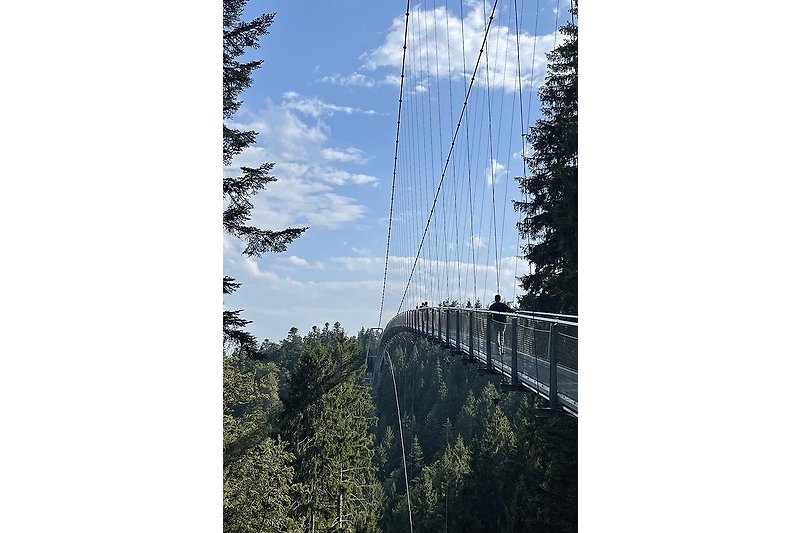 Hängebrücke bei Bad Wildbad