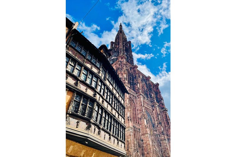 Maison Kammerzell und das Straßburger Münster im Elsass (Frankreich)
